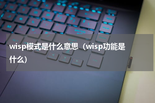 wisp模式是什么意思（wisp功能是什么）