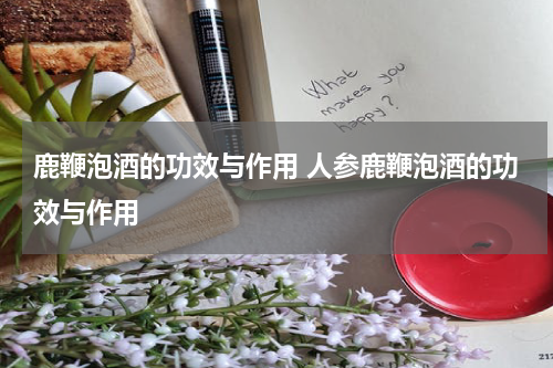 鹿鞭泡酒的功效与作用 人参鹿鞭泡酒的功效与作用