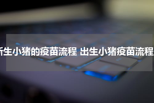 新生小猪的疫苗流程 出生小猪疫苗流程