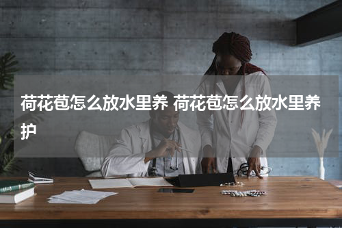 荷花苞怎么放水里养 荷花苞怎么放水里养护