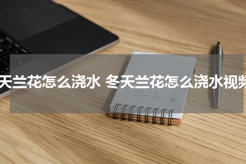 冬天兰花怎么浇水 冬天兰花怎么浇水视频