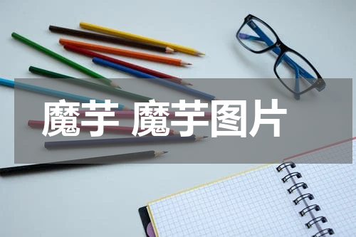 魔芋 魔芋图片