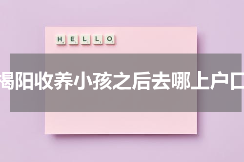 揭阳收养小孩之后去哪上户口