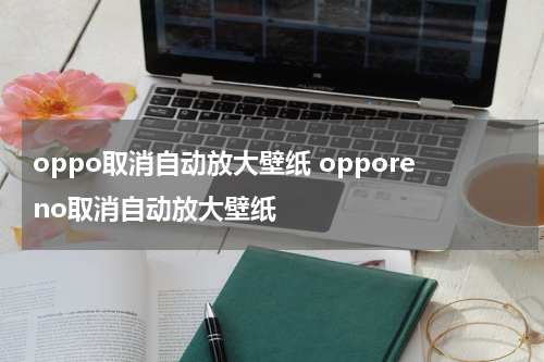 oppo取消自动放大壁纸 opporeno取消自动放大壁纸