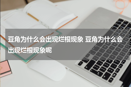 豆角为什么会出现烂根现象 豆角为什么会出现烂根现象呢