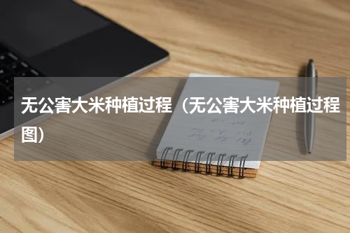 无公害大米种植过程（无公害大米种植过程图）