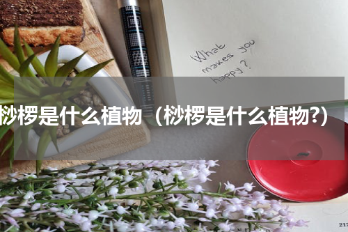 桫椤是什么植物（桫椤是什么植物?）