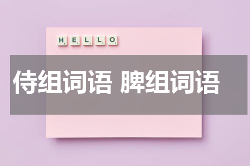 侍组词语 脾组词语