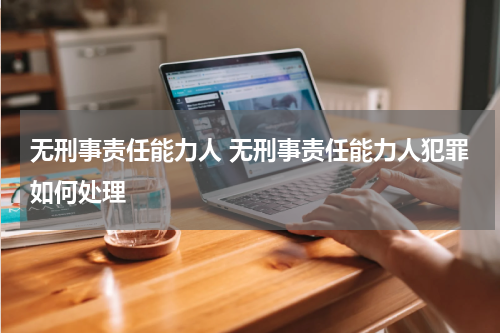 无刑事责任能力人 无刑事责任能力人犯罪如何处理