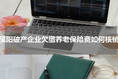 濮阳破产企业欠缴养老保险费如何核销