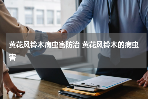 黄花风铃木病虫害防治 黄花风铃木的病虫害