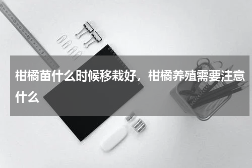 柑橘苗什么时候移栽好，柑橘养殖需要注意什么