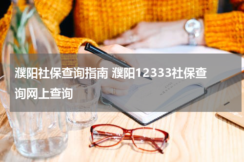 濮阳社保查询指南 濮阳12333社保查询网上查询