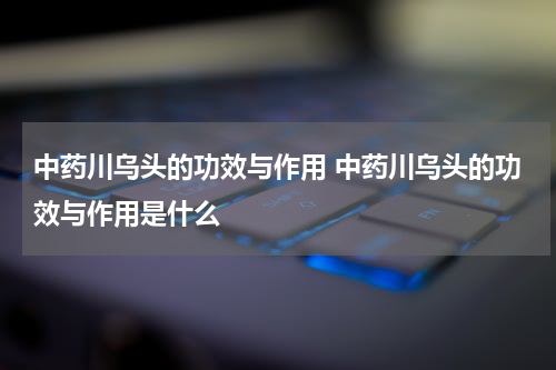 中药川乌头的功效与作用 中药川乌头的功效与作用是什么