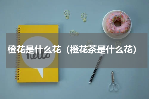 橙花是什么花（橙花茶是什么花）