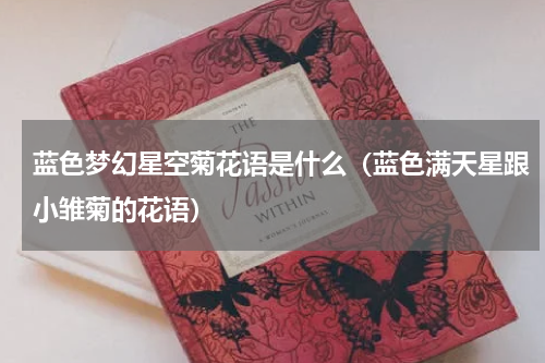 蓝色梦幻星空菊花语是什么（蓝色满天星跟小雏菊的花语）