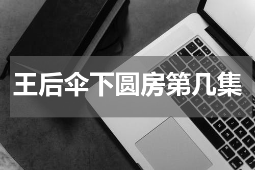 王后伞下圆房第几集