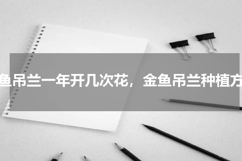金鱼吊兰一年开几次花，金鱼吊兰种植方法