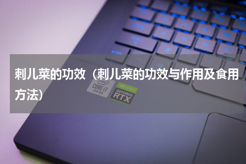 刺儿菜的功效（刺儿菜的功效与作用及食用方法）