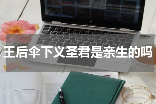 王后伞下义圣君是亲生的吗