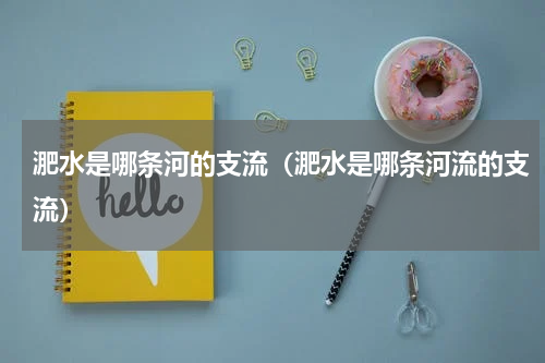 淝水是哪条河的支流（淝水是哪条河流的支流）