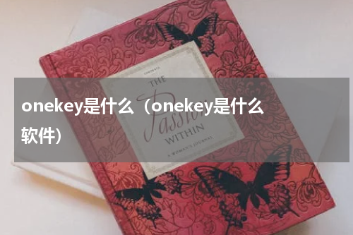 onekey是什么（onekey是什么软件）