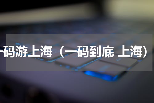 一码游上海（一码到底 上海）