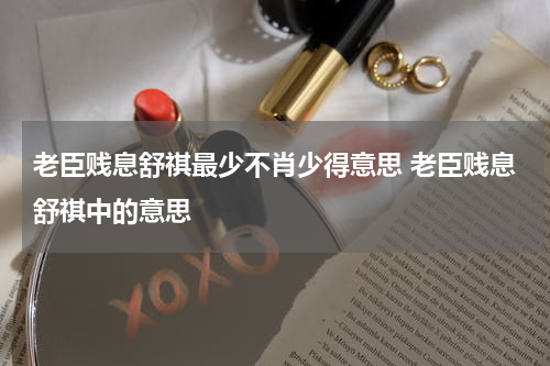 老臣贱息舒祺最少不肖少得意思 老臣贱息舒祺中的意思