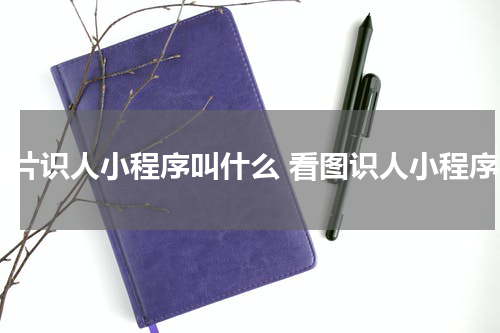 图片识人小程序叫什么 看图识人小程序
