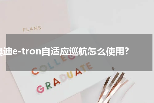 奥迪e-tron自适应巡航怎么使用?