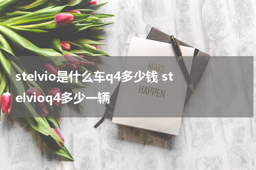 stelvio是什么车q4多少钱 stelvioq4多少一辆