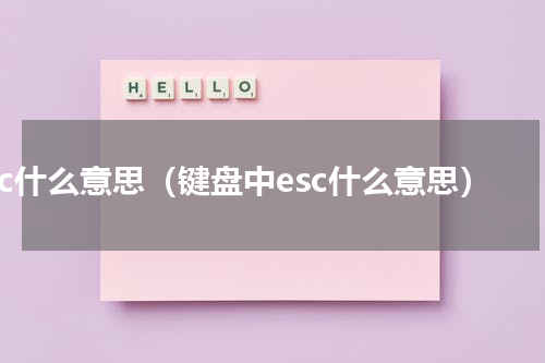 esc什么意思（键盘中esc什么意思）