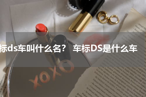 车标ds车叫什么名？ 车标DS是什么车