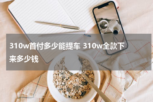 310w首付多少能提车 310w全款下来多少钱