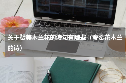 关于赞美木兰花的诗句有哪些（夸赞花木兰的诗）