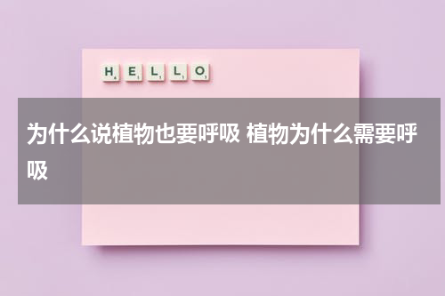 为什么说植物也要呼吸 植物为什么需要呼吸