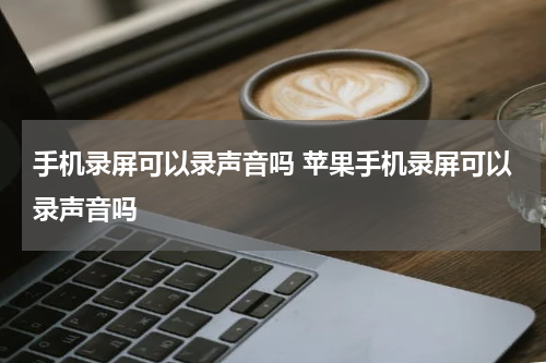 手机录屏可以录声音吗 苹果手机录屏可以录声音吗