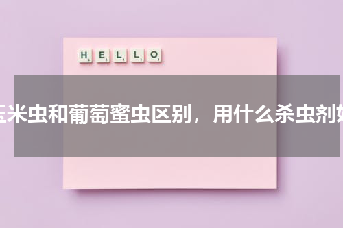 玉米虫和葡萄蜜虫区别，用什么杀虫剂好