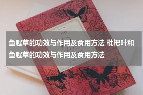 鱼腥草的功效与作用及食用方法 枇杷叶和鱼腥草的功效与作用及食用方法