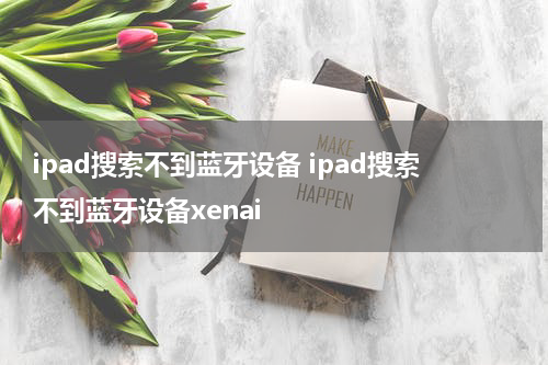 ipad搜索不到蓝牙设备 ipad搜索不到蓝牙设备xenai