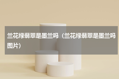 兰花绿翡翠是墨兰吗（兰花绿翡翠是墨兰吗图片）
