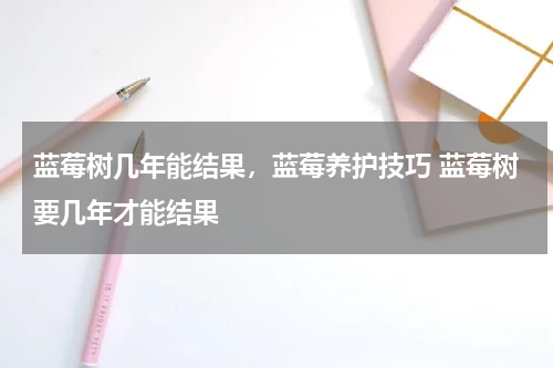蓝莓树几年能结果，蓝莓养护技巧 蓝莓树要几年才能结果