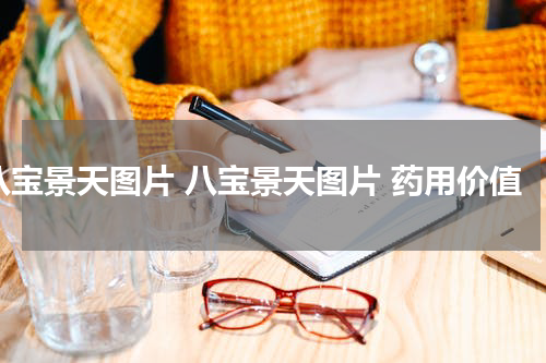 八宝景天图片 八宝景天图片 药用价值