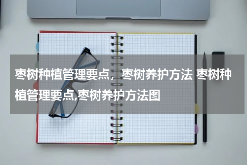 枣树种植管理要点，枣树养护方法 枣树种植管理要点,枣树养护方法图