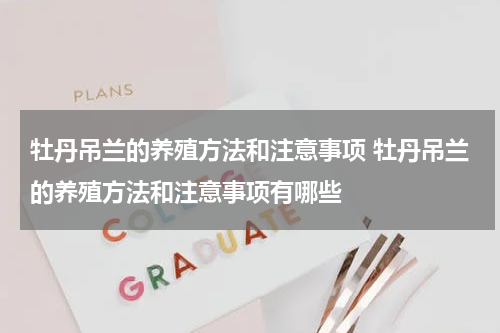 牡丹吊兰的养殖方法和注意事项 牡丹吊兰的养殖方法和注意事项有哪些
