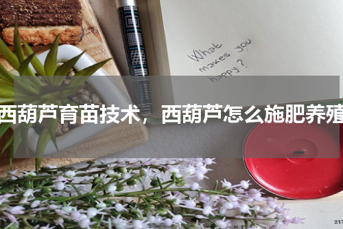 西葫芦育苗技术，西葫芦怎么施肥养殖
