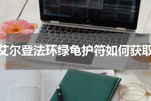 艾尔登法环绿龟护符如何获取