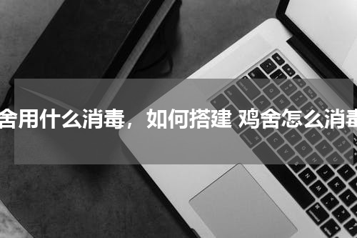 鸡舍用什么消毒，如何搭建 鸡舍怎么消毒