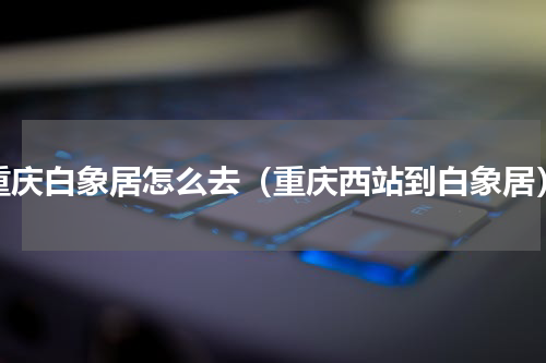 重庆白象居怎么去（重庆西站到白象居）