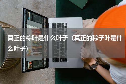 真正的粽叶是什么叶子（真正的粽子叶是什么叶子）